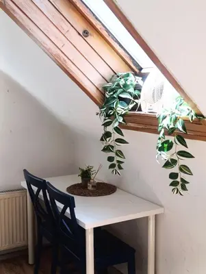 a white table with two chairs and two potted plants at Apartment for families or groups in Ljubljana