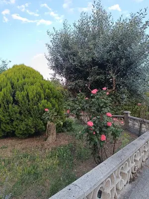 a bridge with pink roses and trees and a fence at Apartma Zeleni mir in Dobravlje