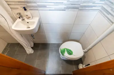 a bathroom with a toilet and a sink at Hiška Nives in Krstenica