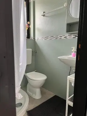 a bathroom with a white toilet and a sink at Odisej House Tolmin in Tolmin