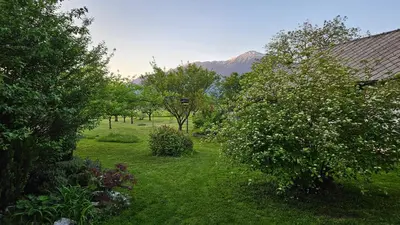 a garden with trees and a mountain in the background at Vila Moka near Bled-Entire place with Garden Retreat in Lesce
