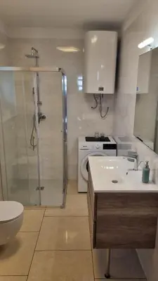 a bathroom with a shower and a sink and a toilet at Apartma Danica in Kobarid