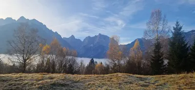 a field with trees and mountains in the background at Apartment Brina in Kranjska Gora