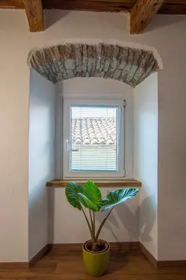 a plant in a pot in front of a window at Hiša Margarita in Ajdovščina