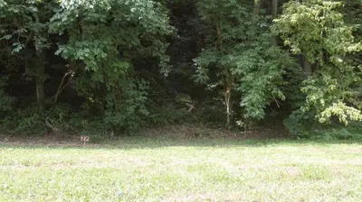 a field with a sign in front of a forest at Outsidersi Campsite