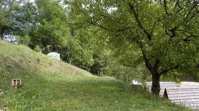 a tree sitting on top of a hill next to a tree at Outsidersi Campsite