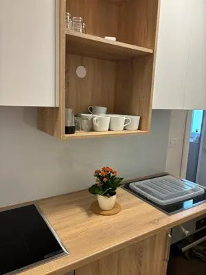 a kitchen counter with a vase of flowers on it at VP sobe in Ilirska Bistrica