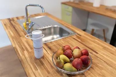 a bowl of apples on a counter next to a sink at BIG DUPLEX Terrace FREE PARKING City Center in Ljubljana