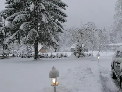 a snow covered yard with a street light and a tree at Holiday House Kaja in Mojstrana