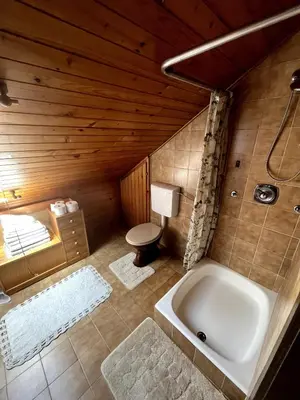 a bathroom with a tub and a toilet and a sink at Bled Lakeview Apartment Elizabeth in Bled