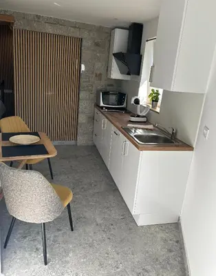 a kitchen with a sink and a table with chairs at Studio apartment in nature with sauna in Postojna