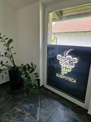 a large screen television in a room with a plant at Sleepoteca in Šentilj