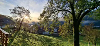 a tree on the side of a hill with a house at Apartma BoMa in Bovec