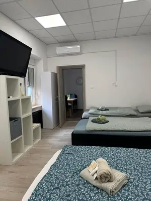 a bedroom with two beds and a tv and a rug at Apartma Center Ljutomer in Ljutomer