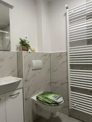 a bathroom with a toilet with a green seat at Apartma Center Ljutomer in Ljutomer