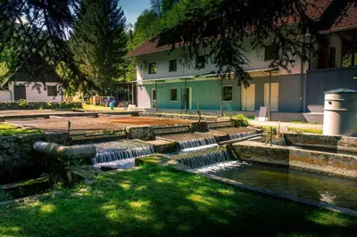 a group of waterfalls in front of a building at Stara ribogojnica & Pohorska postrv in Ruše