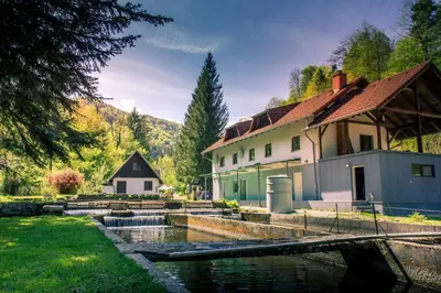 a house with a pond in front of it at Stara ribogojnica & Pohorska postrv in Ruše