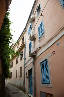 a group of buildings with blue shutters on a street at Rosa di Pirano con Terrazza in Rove