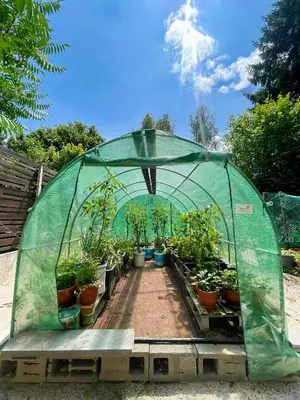 a greenhouse full of potted plants in a garden at Quiet Forest Retreat with Pool in Borovnica