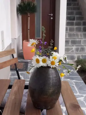 a vase filled with flowers sitting on a table at Apartma ARNEJ in Kobarid