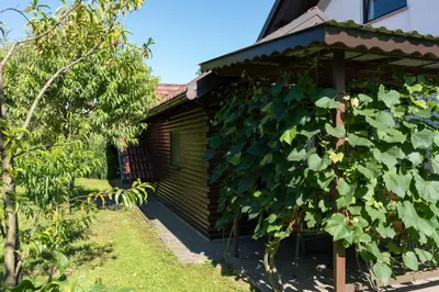 a house with a bunch of vines on the side of it at Apartma ob Kolpi Križan in Gradac