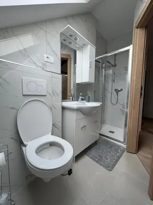 a bathroom with a toilet and a sink and a shower at Citybase Rooms in Ljubljana