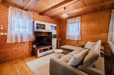 a living room with a couch and a television at Log Cabin Vista View with Seasonal Hot Tub in Bizeljsko