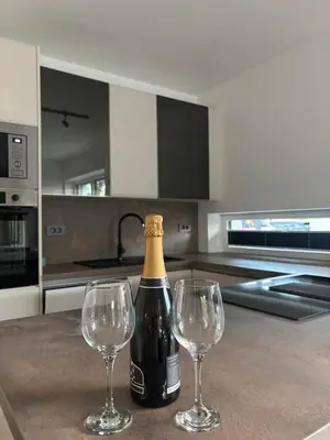 a bottle of wine and two wine glasses on a kitchen counter at Modern Stay House Ptuj in Ptuj