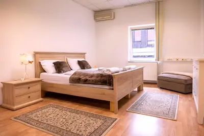 a bedroom with a large bed and a window at Hiša Elsbacher Laško in Laško