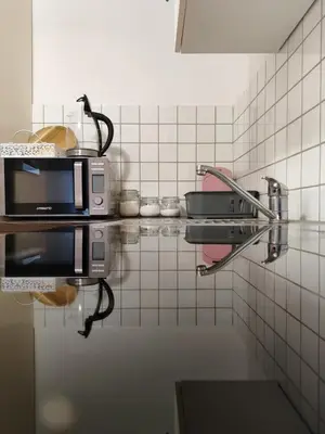 a kitchen with a counter top with a microwave at Apartma Lastovka in Moravske Toplice