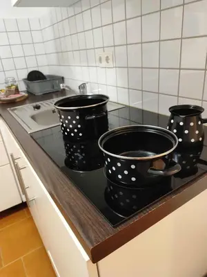 three pots sitting on a stove in a kitchen at Apartma Lastovka in Moravske Toplice