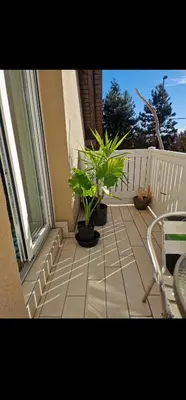 a balcony with two potted plants and a window at Apt Lublana in Ljubljana