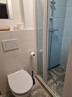 a bathroom with a toilet and a glass shower at Apt Lublana in Ljubljana