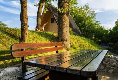 a wooden bench sitting in front of a tree at Lipa Plac in Postojna