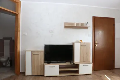 a living room with a tv on a wooden entertainment center at Apartmaji Lukovi in Obrov