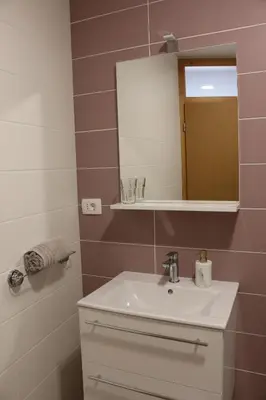 a bathroom with a sink and a mirror at Apartmaji Lukovi in Obrov
