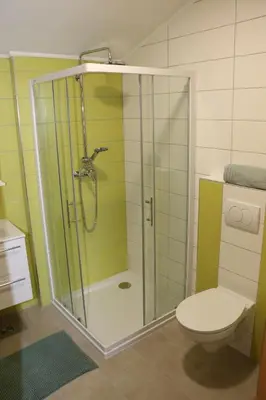 a bathroom with a shower and a toilet at Apartmaji Lukovi in Obrov
