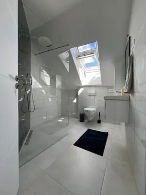 a bathroom with a shower and a toilet and a skylight at Natura Apartments in Kranj