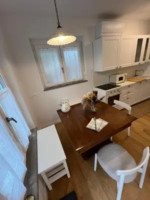 a kitchen and dining room with a wooden table and chairs at Lazy Goose Charming Apartments Bovec in Bovec