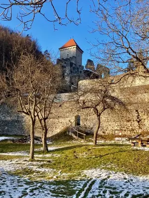 a castle on top of a hill with trees at Slovenian Green Apartment in Radovljica
