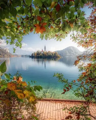 a large island in the middle of a lake at Slovenian Green Apartment in Radovljica