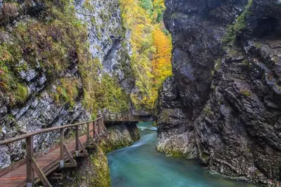 a bridge over a river in a canyon at Slovenian Green Apartment in Radovljica