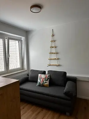 a living room with a couch and a christmas tree at Gostilna Menina in Gornji Grad