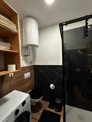 a bathroom with a shower with a toilet and a sink at Gostilna Menina in Gornji Grad