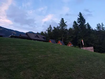 a group of houses on a grassy hill with trees at AirWood Glamping in Križe