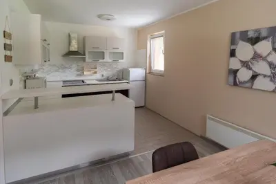 a kitchen with a counter and a white refrigerator at Hiša pod Veliko planino in Stahovica