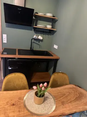 a table with a pot of flowers on top of it at My Star Apartment in Maribor