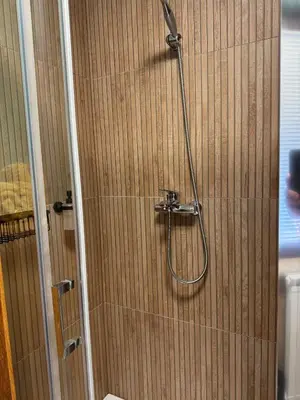 a shower in a bathroom with a wooden wall at My Star Apartment in Maribor
