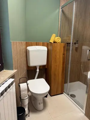 a bathroom with a toilet and a shower at My Star Apartment in Maribor