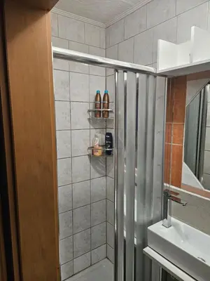 a bathroom with a shower and a sink at Radoslove Apt in Radovljica